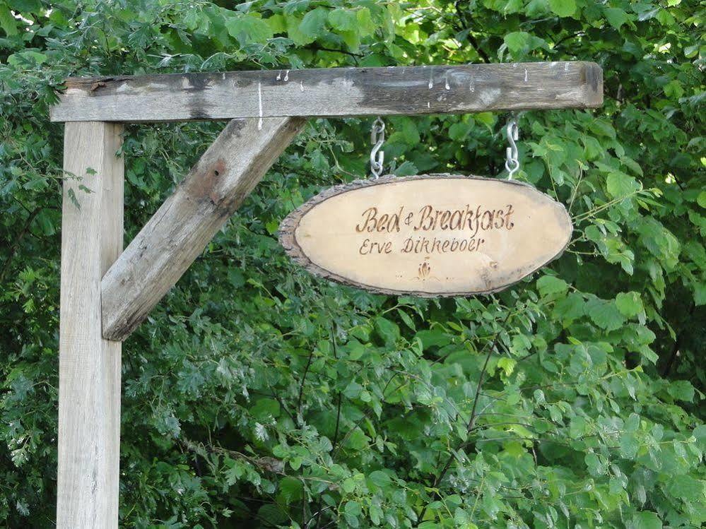 Erve Dikkeboer Bed & Breakfast Bathmen Екстериор снимка